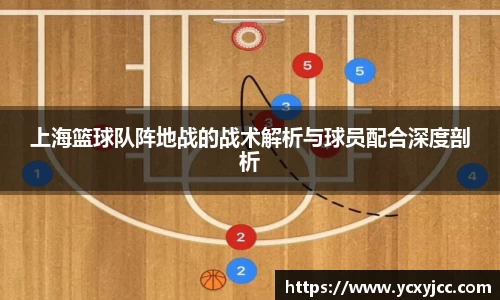 上海篮球队阵地战的战术解析与球员配合深度剖析